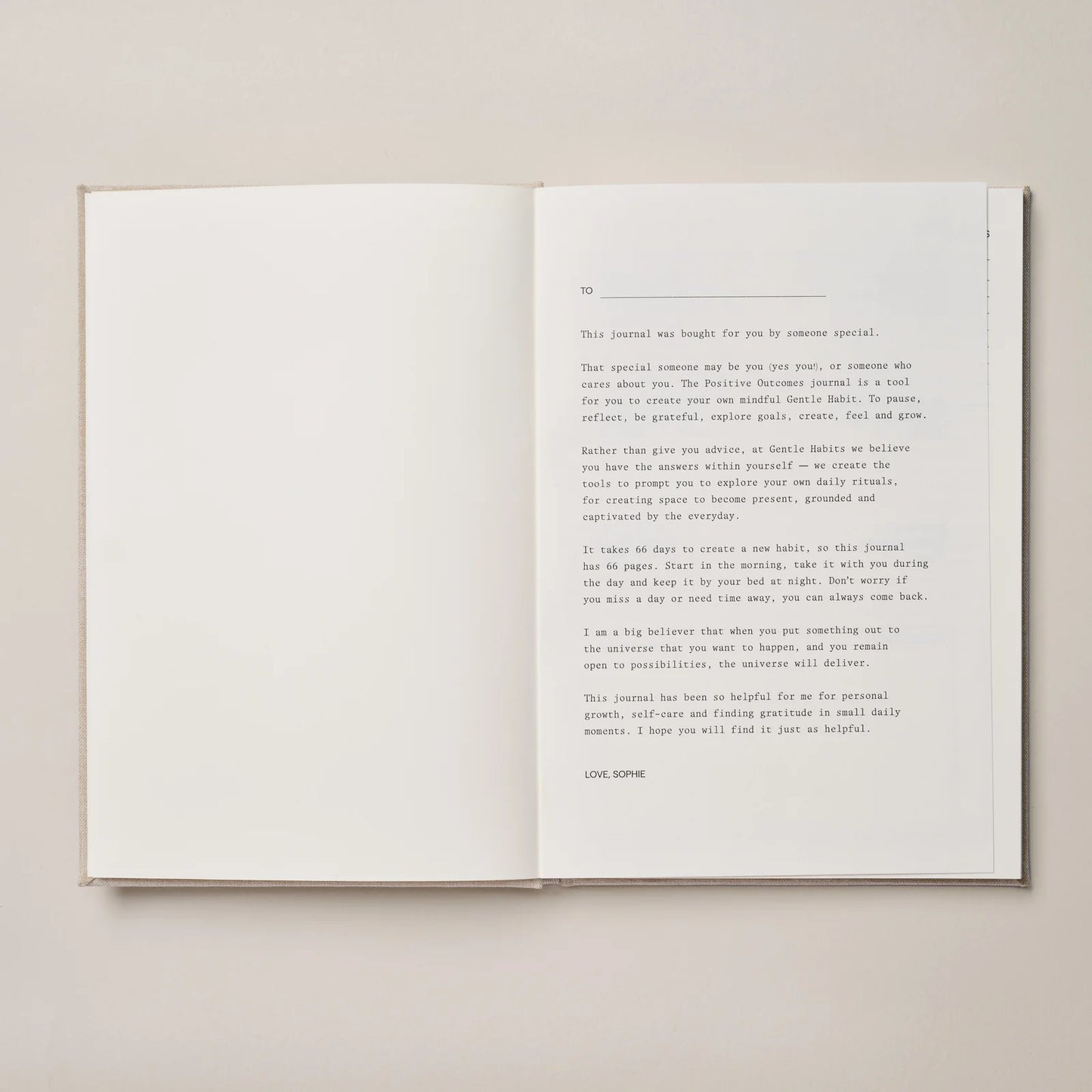 Positive Outcomes Journal